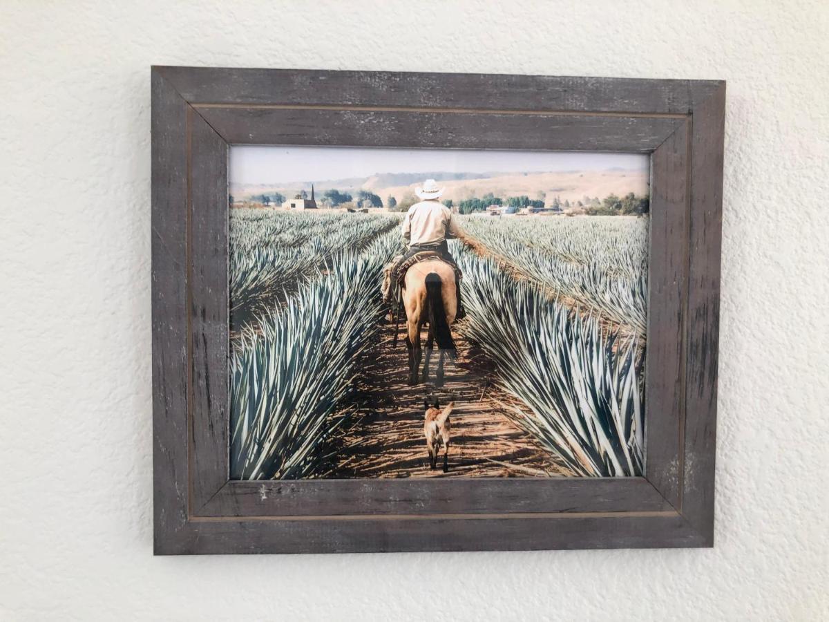 Villa The Agave Cowboy Phoenix Exterior foto